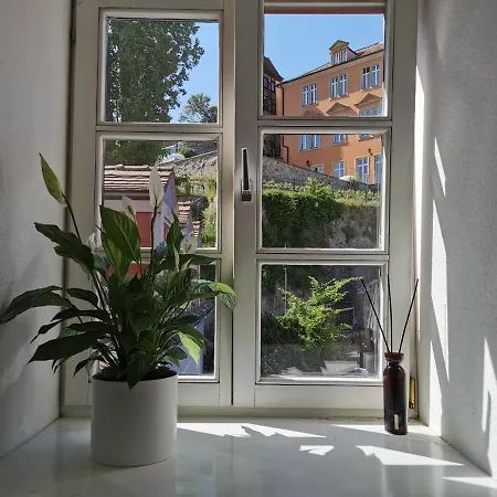 Fynbos Dg In Der Altstadt, Frauenkirchenblick, Parkplatz Meißen