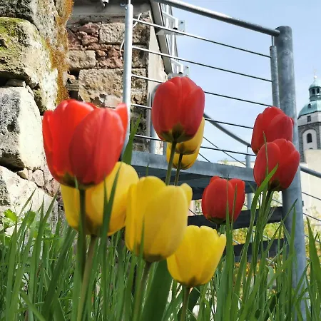 Fynbos Dg In Der Altstadt, Frauenkirchenblick, Parkplatz Lägenhet *