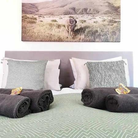 아파트 Fynbos Dg In Der Altstadt, Frauenkirchenblick, Parkplatz *