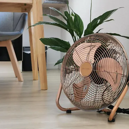 Fynbos Dg In Der Altstadt, Frauenkirchenblick, Parkplatz Meissen