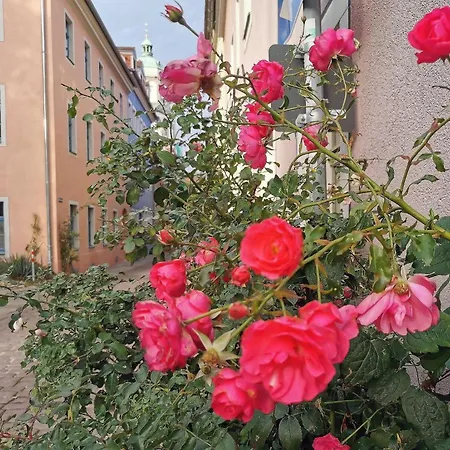 아파트 Fynbos Dg In Der Altstadt, Frauenkirchenblick, Parkplatz