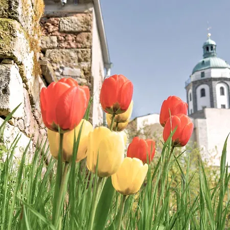 Fynbos Dg In Der Altstadt, Frauenkirchenblick, Parkplatz