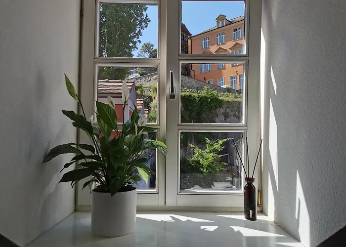 Fynbos Dg In Der Altstadt, Frauenkirchenblick, Parkplatz Meißen