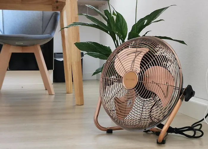 Fynbos Dg In Der Altstadt, Frauenkirchenblick, Parkplatz Meißen