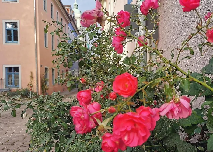 Lejlighed Fynbos Dg In Der Altstadt, Frauenkirchenblick, Parkplatz